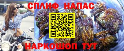ECSTASY Бугуруслан